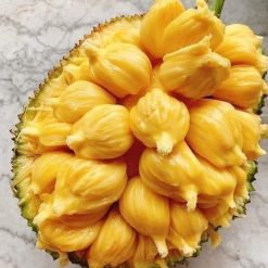 Mít tố nữ siêu trái