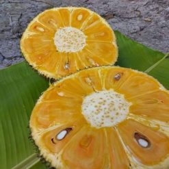 Mít Tứ Quý