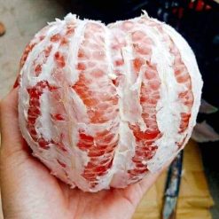 Cây giống bưởi da xanh
