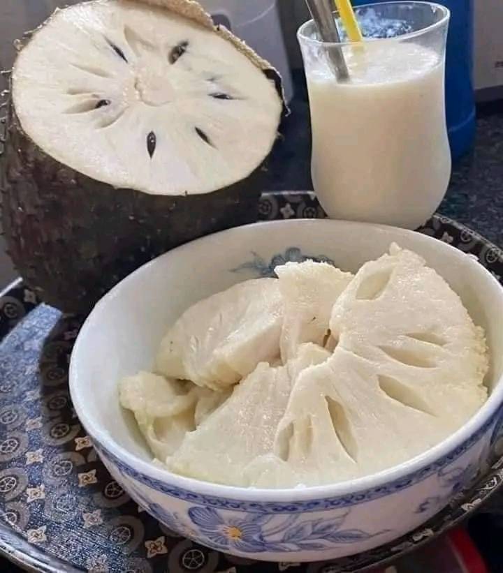 Cây giống mãng cầu xiêm thái 373012152 640643384879886 5243961132844806556 n 1