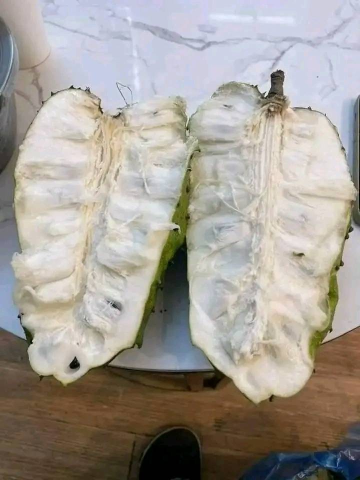 Cây giống mãng cầu xiêm thái 376400043 856792839129001 5139032968802616964 n 1