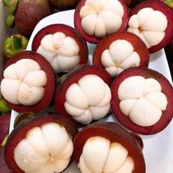 Cây giống măng cụt