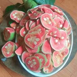 Cây chay giống ruột đỏ giống cây chay ruột đỏ