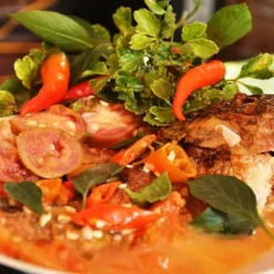 Cây chay giống ruột đỏ quả chay
