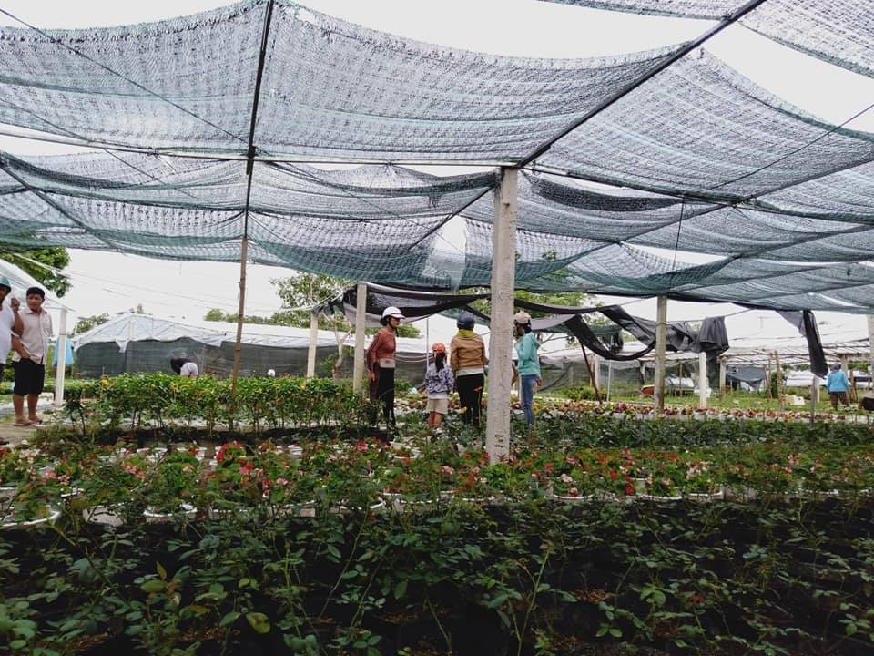 images.baoquangnam.vn storage newsportal 2023 2 2 138189 79232152 11753805305
