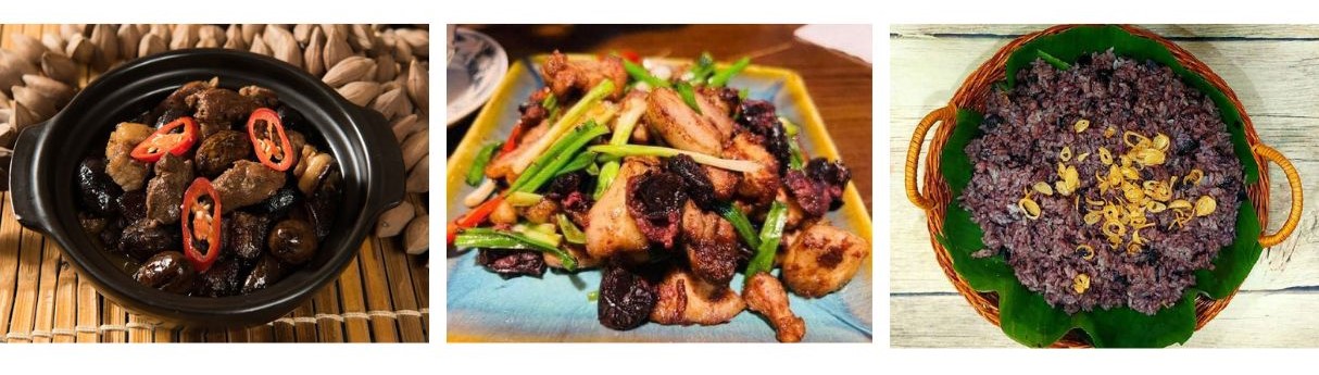 cây giống trám đen
