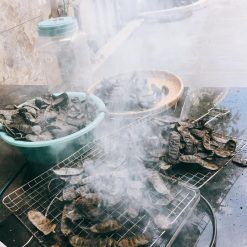 Bồ kết